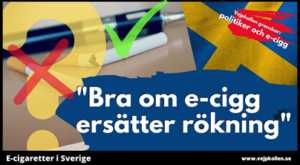 SUEDE-VEJPKOLLEN-VAPE-POLITICIENS